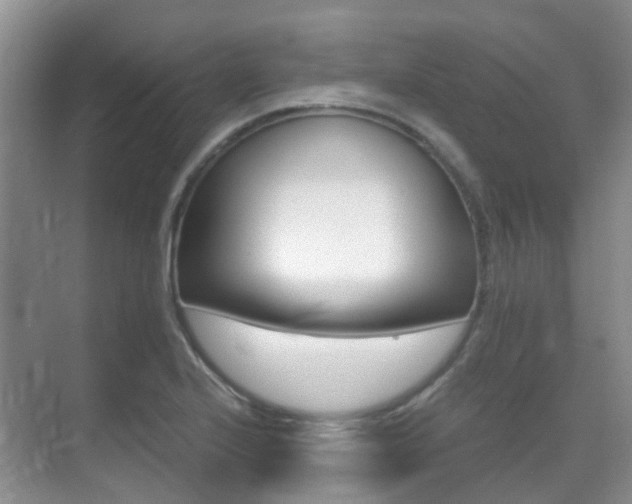 X0000071331224200606230755
