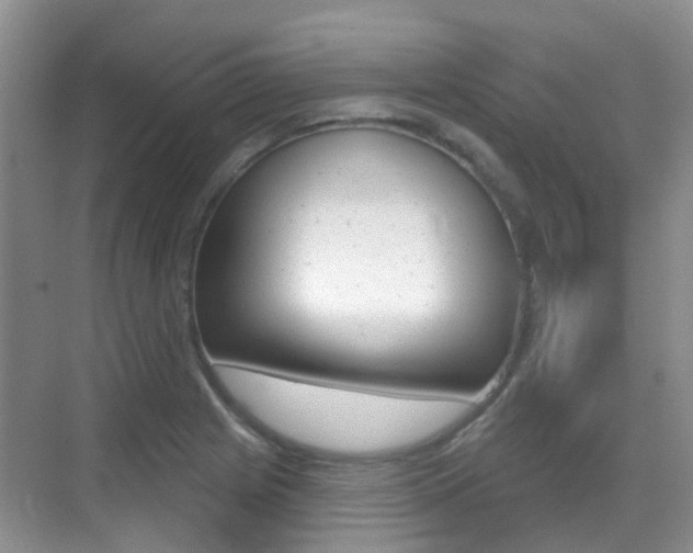 X0000071331225200606230755