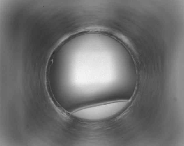 X0000071331229200606230755