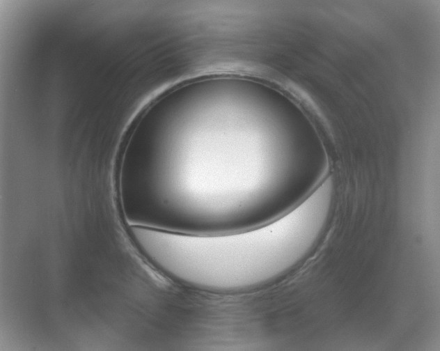 X0000071331230200606230755