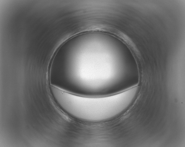 X0000071331234200606230755