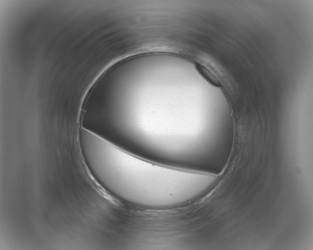 X0000071331236200606230755