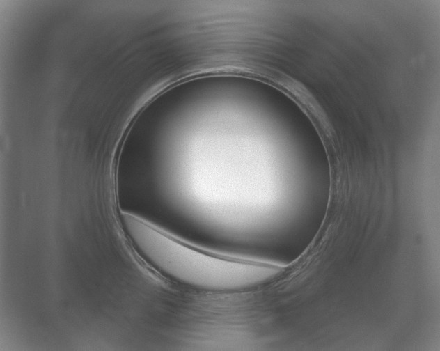 X0000071331242200606230755