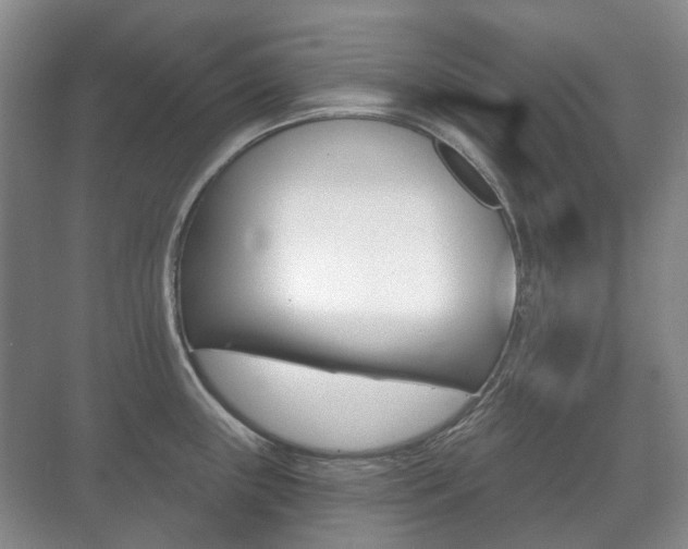 X0000071331243200606230755
