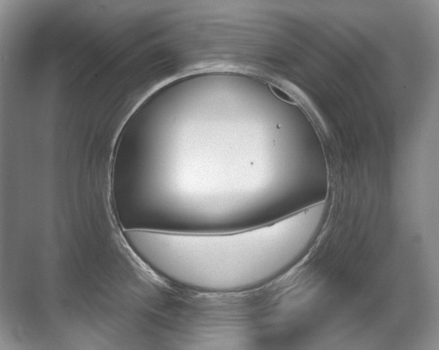 X0000071331244200606230755