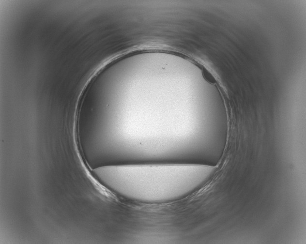 X0000071331245200606230755
