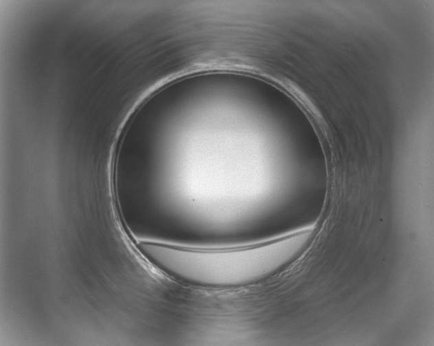 X0000071331246200606230755
