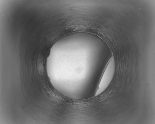 X0000071331250200606230755