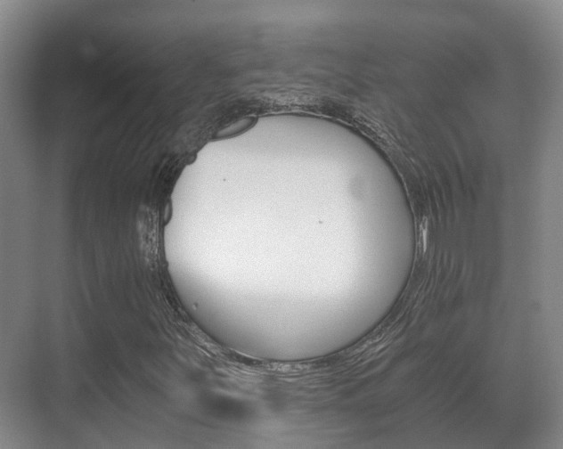 X0000071331251200606230755