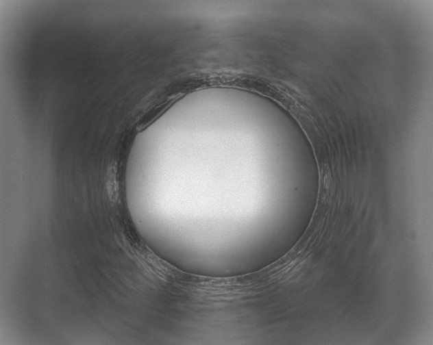 X0000071331252200606230755