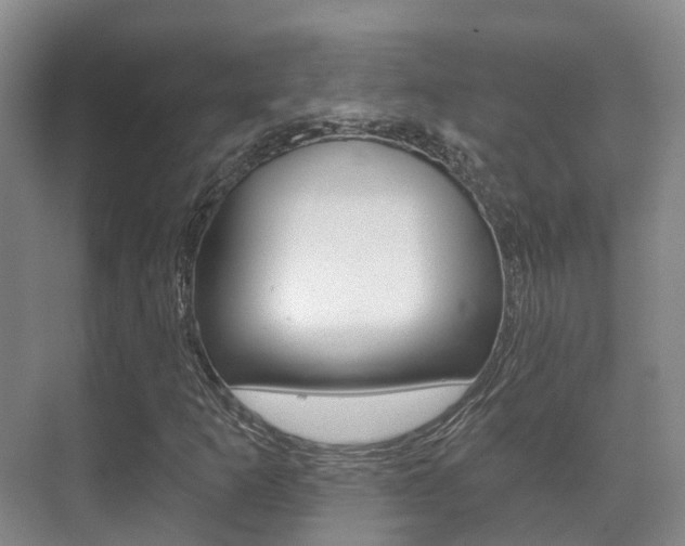 X0000071331253200606230755