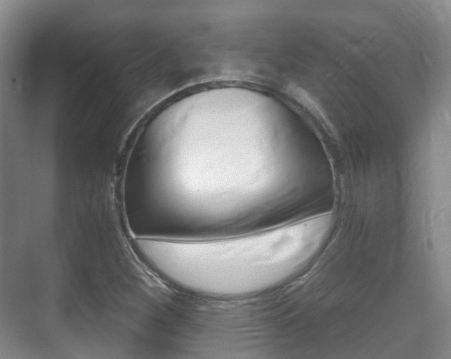 X0000071331260200606230754