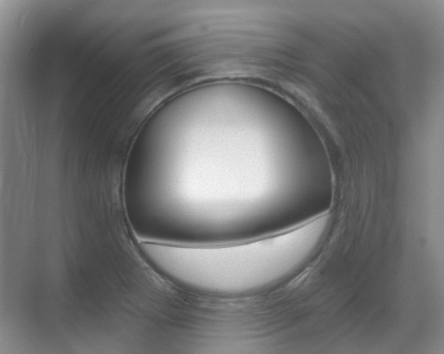 X0000071331273200606230754