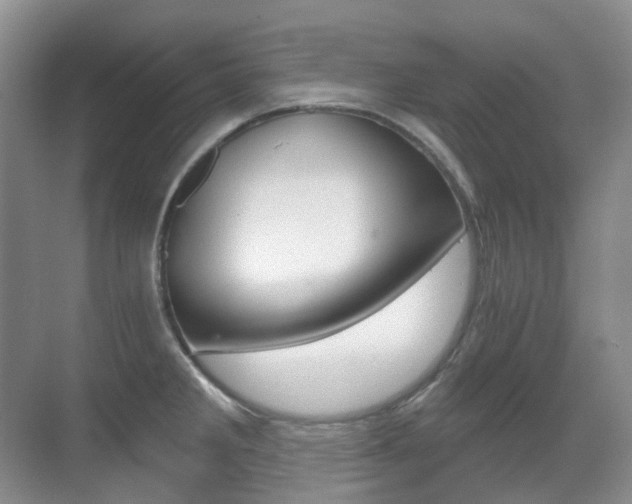 X0000071331285200606230754