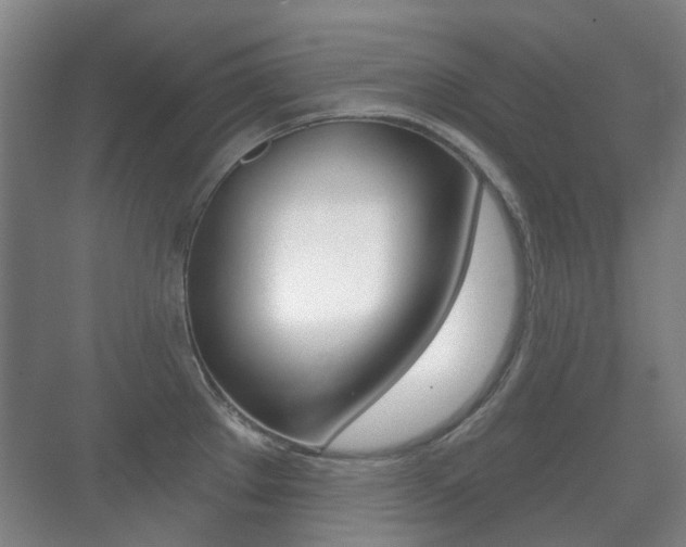 X0000071331289200606230754