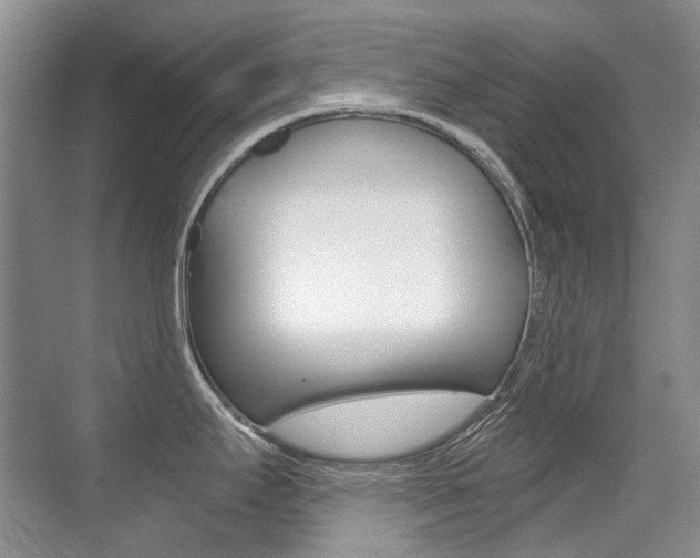 X0000071331295200606230754
