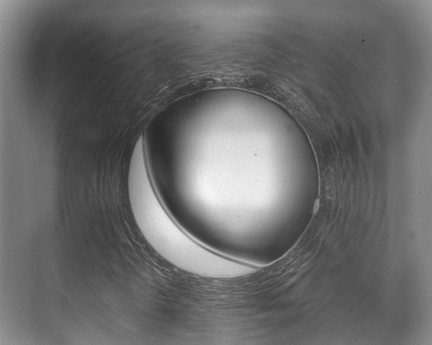 X0000071331298200606230753