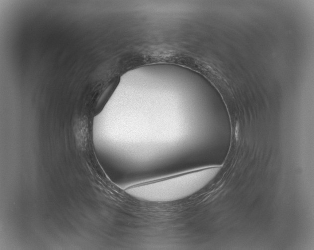 X0000071331299200606230753