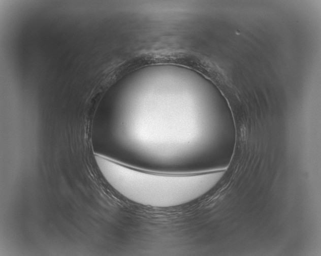 X0000071331300200606230753