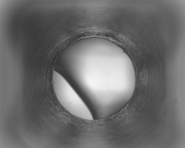 X0000071331302200606230753