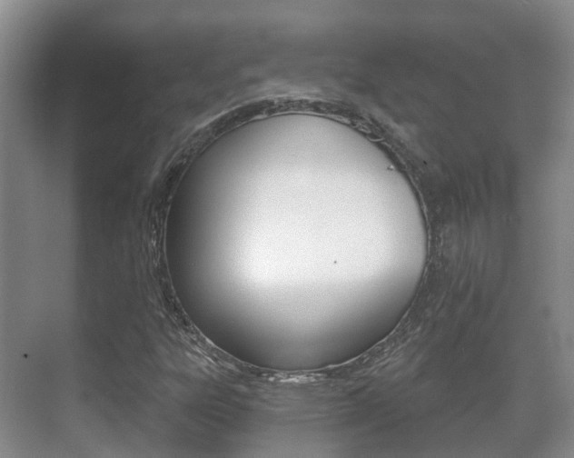 X0000071331303200606230753