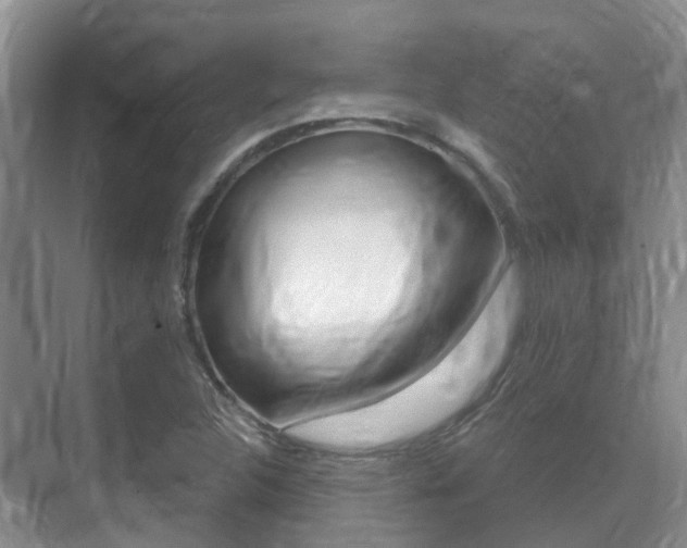 X0000071331312200606230753