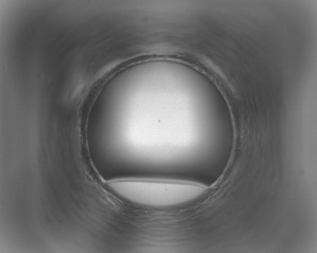X0000071331315200606230753