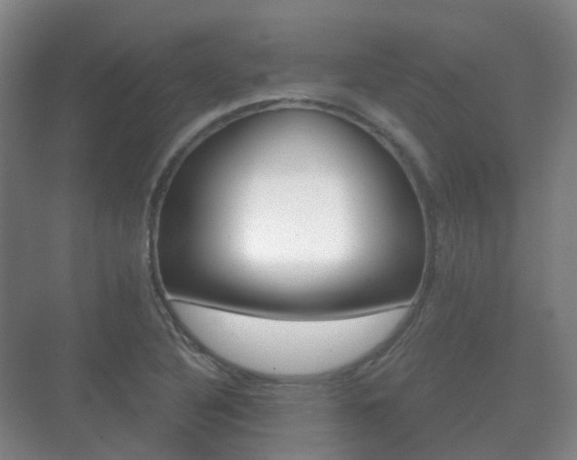 X0000071331316200606230753