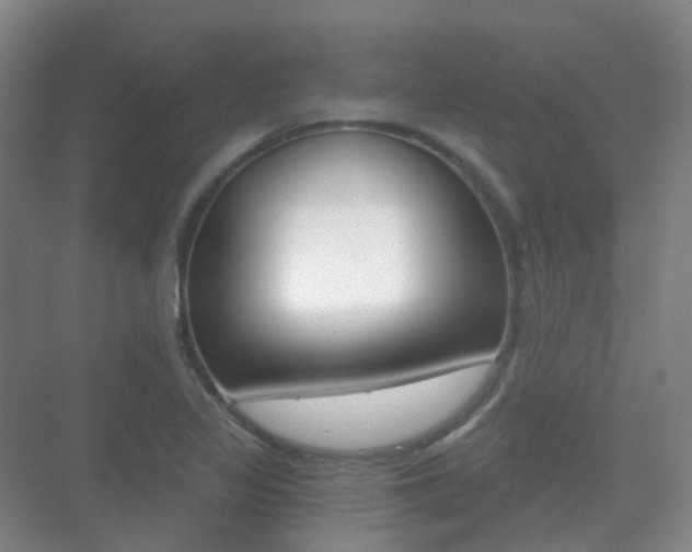 X0000071331317200606230753