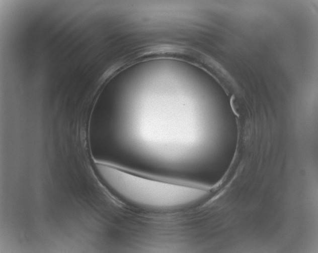 X0000071331321200606230753