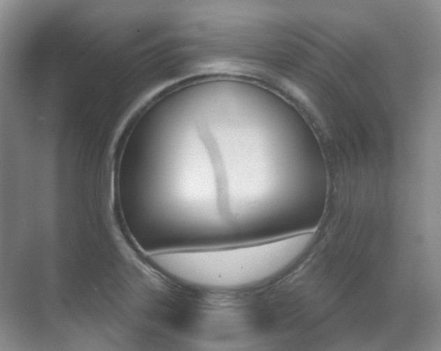X0000071331323200606230753