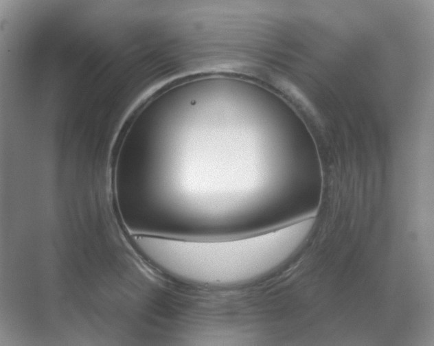 X0000071331324200606230754