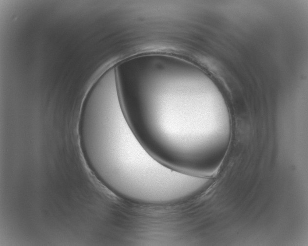 X0000071331330200606230754