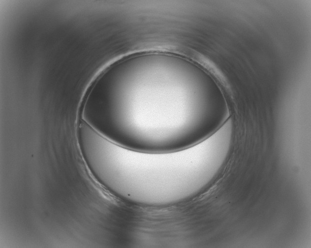 X0000071331332200606230754