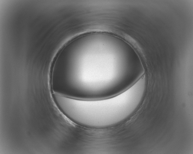 X0000071331334200606230754