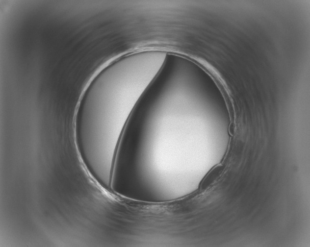 X0000071331341200606230754