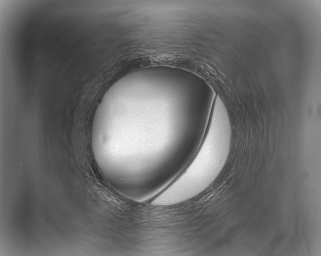 X0000071331345200606230753