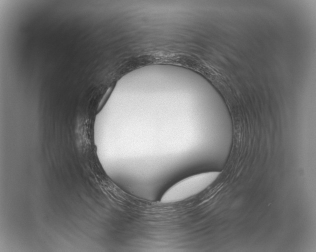 X0000071331346200606230753