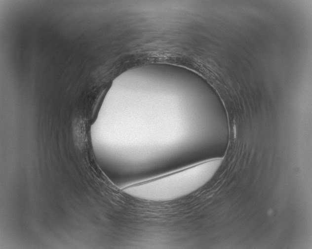 X0000071331347200606230753