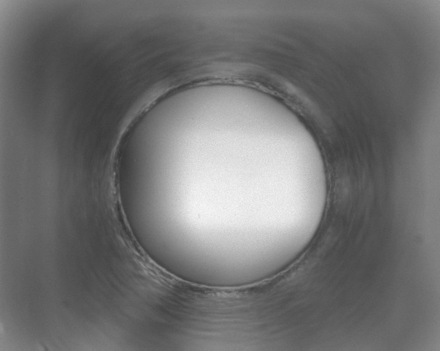 X0000071331362200606230753