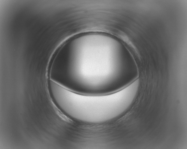 X0000071331372200606230753