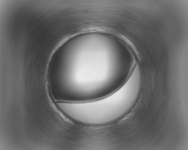 X0000071331373200606230753