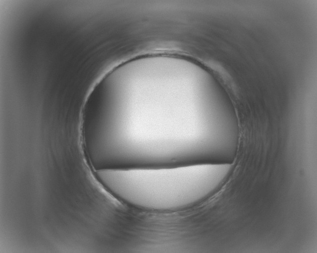X0000071331374200606230753