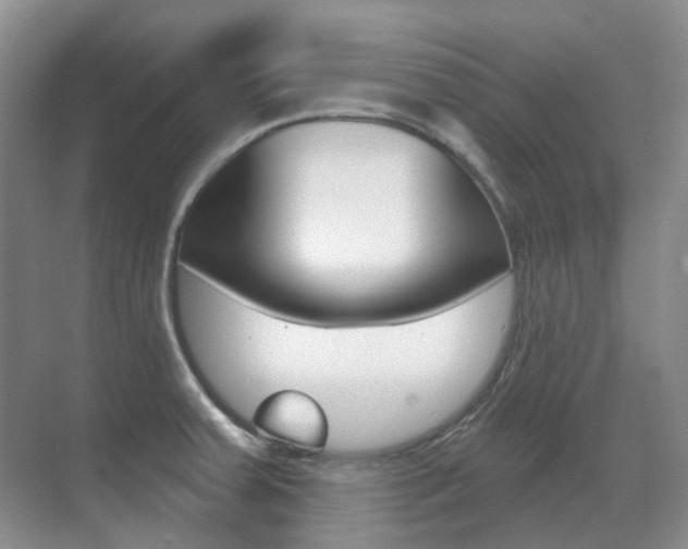 X0000071331379200606230752