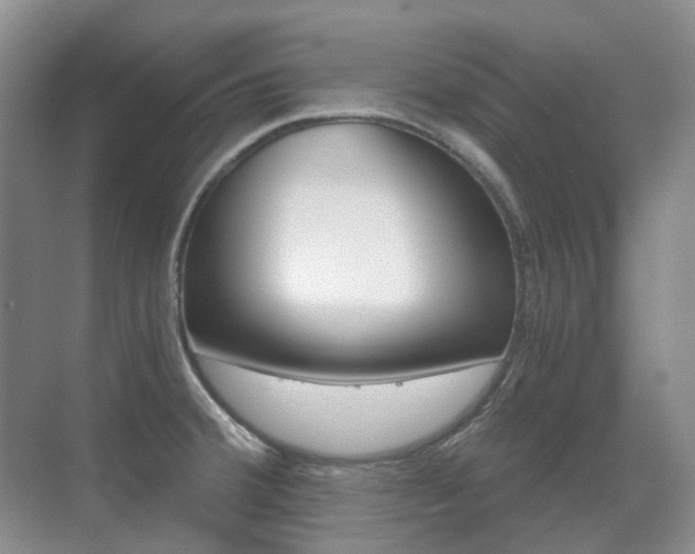 X0000071331380200606230752
