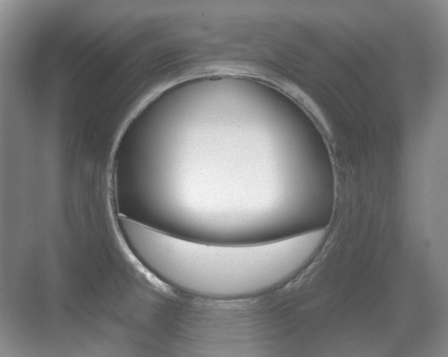 X0000071331381200606230752