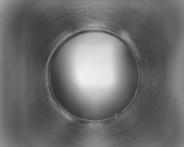 X0000071331384200606230752