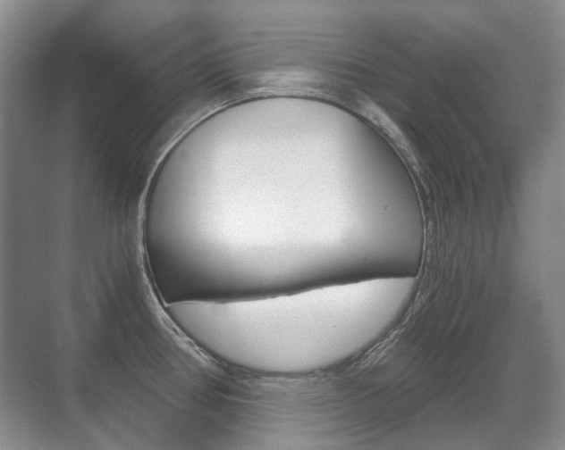 X0000071331386200606230752