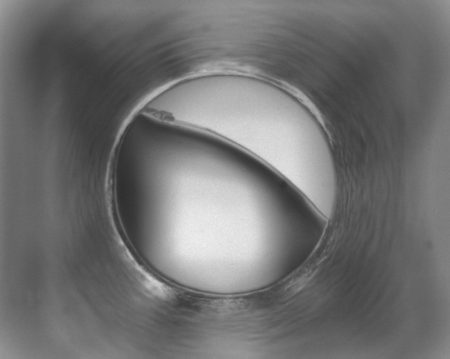 X0000071331387200606230752