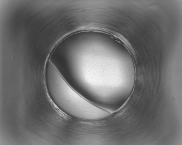 X0000071331388200606230752